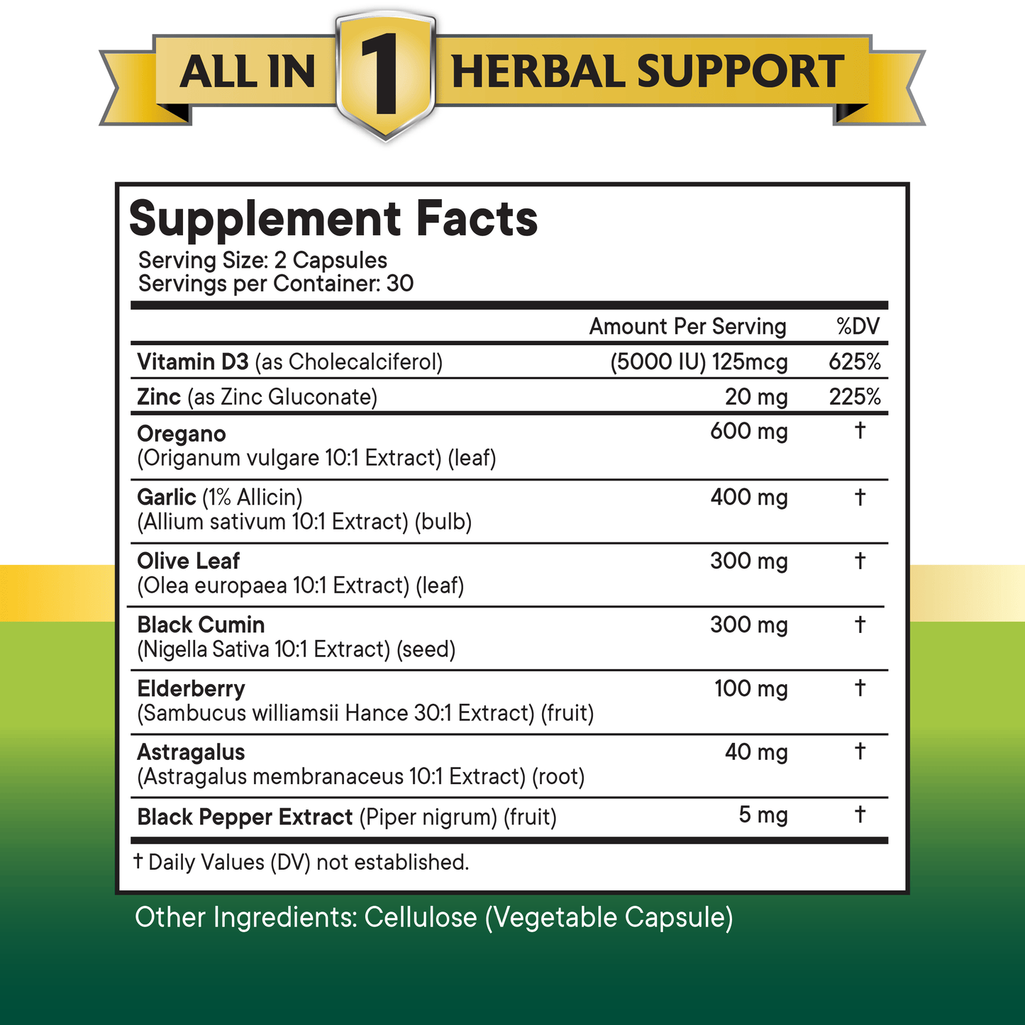 Oregano Oil Capsules