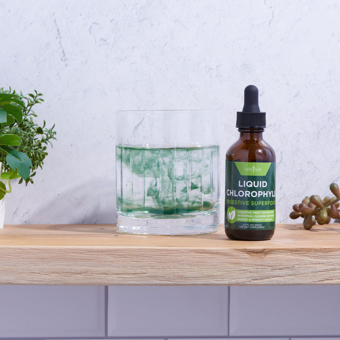 What the Heck is Chlorophyll Anyway?